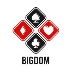 bigdom.info